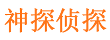 勉县调查事务所